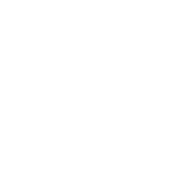 Rakin IA Logo Oficial Blanco